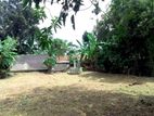 Land For Sale In Kadawatha,T14