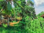 Land For Sale in Kadawatha,T60