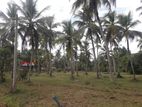 Land for Sale in Kadigamuwa