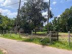Land for Sale in Kadirana, Negombo