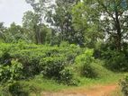 Land for Sale in Kadugannawa