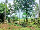 Land for Sale in Kaduwela