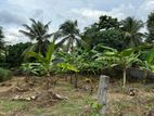 Land for Sale in Kaduwela