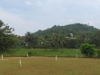 Land for Sale in Kaduwela