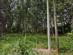 Land for sale in Kaduwela