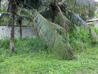 Land For Sale In Kaduwela