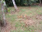 Land for Sale in Kaduwela