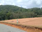Land for Sale in Kaduwela