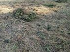 Land for sale in Kaduwela