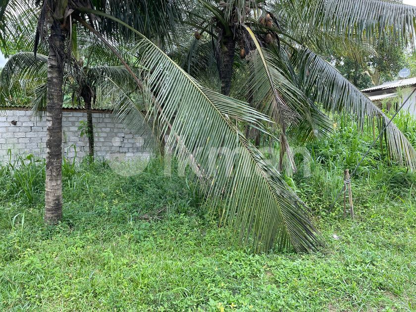 Land for sale in Kaduwela ( Pahala bomiriya ) ikman