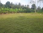 Land for Sale in Kaduwela Ranala 698 Road