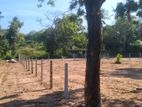 Land for Sale in Kahandamodara