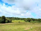 Land for Sale in Kahathuduwa