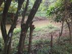 Land for Sale in Kahathuduwa