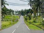 Land for Sale in Kahathuduwa