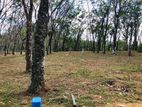 Land for sale in kahathuduwa