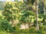 Land for Sale in Kahathuduwa