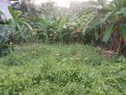 Land for Sale in Kahathuduwa, Gonapola