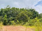Land for Sale in Kahathuduwa , Horana
