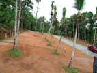 Land For Sale In Kahathuduwa - කහතුඩුව