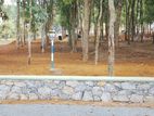 Land for Sale in Kahathuduwa Koralaima