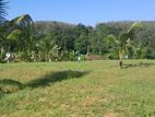 Land for Sale in Kahathuduwa (Lot 12)