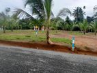 Land for Sale in Kahathuduwa ( Lot 14 )