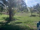 Land for Sale in Kahathuduwa (Lot 14)