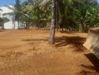 Land for Sale in Kahathuduwa Polgasowita