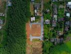 Land for sale in Kahathuduwa with stunning greenery views