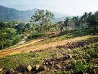 Land for sale in Kahawatta