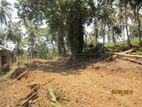 Land for sale in Kahawatta