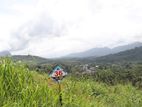 Land for Sale in Kahawatta