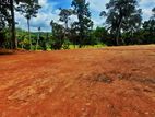 Land for Sale in Kakanadura