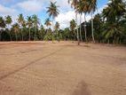 Land for Sale in Kakkapalliya