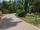 Land for sale in kalagedihena