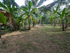 Land for Sale in Kalagedihena