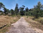 Land for Sale in Kalagedihena