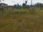 Land for sale In Kalagedihena