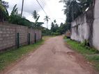 Land For Sale In Kalagedihena....