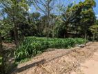Land for Sale in Kalagedihena