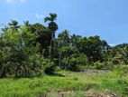 Land for Sale in Kalagedihena