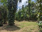 Land for Sale in Kalagedihena