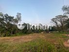 Land for Sale in Kalagedihena Nuwara Road