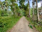 Land for sale in kalagedihena / ST 14022
