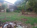 Land for Sale in Kalalgoda Ds8516