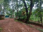 Land for Sale in Kalalgoda, Weeramawatha