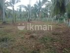 Land For Sale in Kalalpitiya,Pasyala