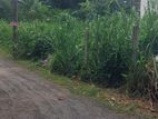 Land for Sale in Kalapaluwawa