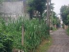 Land for sale in kalapaluwawa